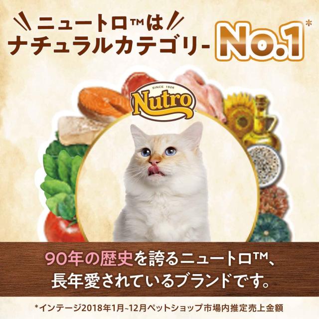 Nutro ニュートロ ナチュラル チョイス キャット 室内猫用 キトン