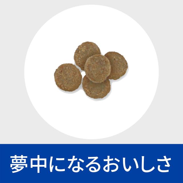 ヒルズ プリスクリプションダイエット ドッグフード ドライ z/d ゼッドディー 小粒 オリジナル 食物アレルギー＆皮膚ケア 犬用 特別療法食_6