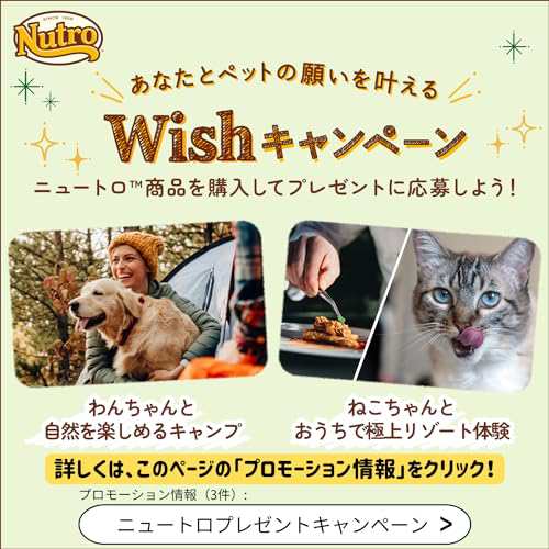 Nutro ニュートロ ナチュラル チョイス ラム＆玄米 中型犬~大型犬用 成犬用 4kg ドッグフードの通販はau PAY マーケット -  いろはストア | au PAY マーケット－通販サイト