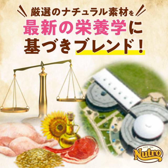 Nutro ニュートロ 自然的 より分ける 子ヒツジ＆玄米 中型犬~大型犬用 成犬用 13.5kg ドッグフード