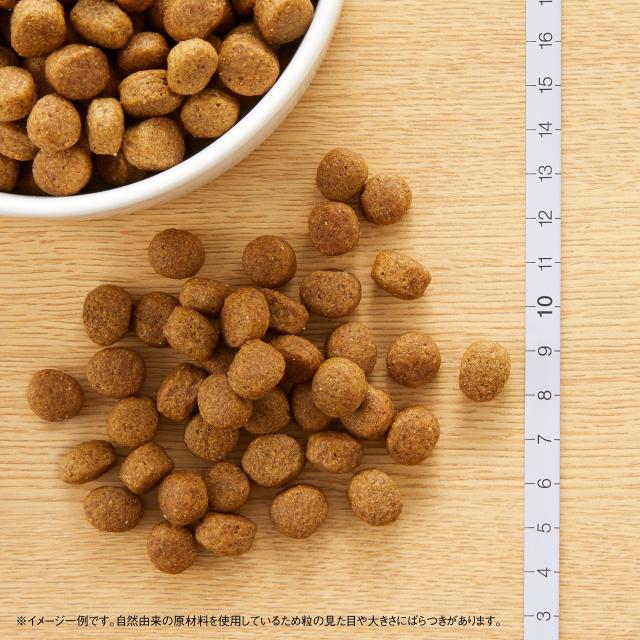 Nutro ニュートロ 自然的 より分ける 子ヒツジ＆玄米 中型犬~大型犬用 成犬用 13.5kg ドッグフード