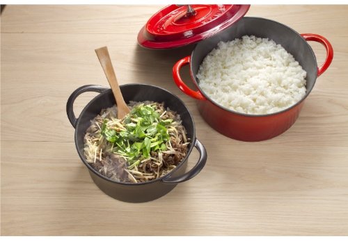 イシガキ産業 ボン・ボネール ココットオーバル 11? ブラウン 鉄鋳物 中国 ABVB603 イシガキ産業 ボン・ボネール ココットオーバル 11cm [レッド] (鍋