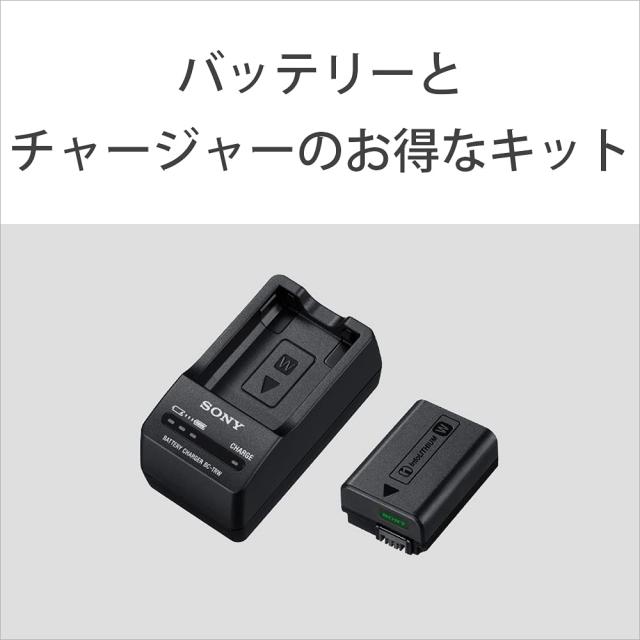 ソニー(SONY) カメラ用バッテリー+チャージャーセット ACC-TRW(Wバッテリー用)_1