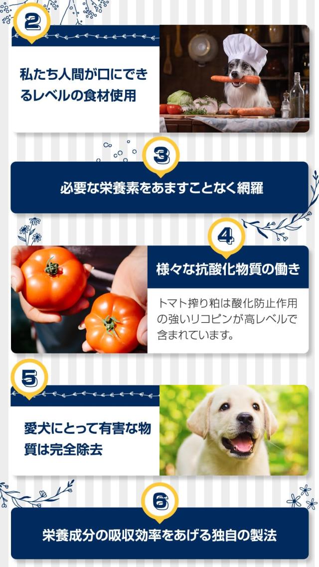 アーテミス (Artemis) フレッシュミックス ウェイトマネージメント＆スモールシニアドッグ 6kg_3