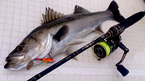 AbuGarcia (アブガルシア) クロスフィールド XROSSFIELD XRFS-862M