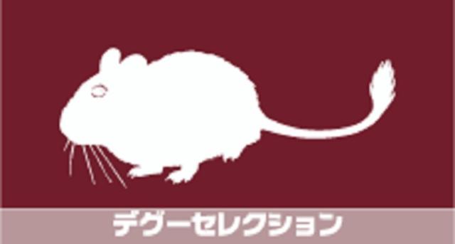 イースター デグーセレクション 400g×10 (ケース販売)_2