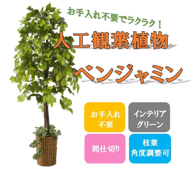 ビータ(Vita) ベンジャミン 人工観葉植物 幅70×高さ160cm フェイクグリーン 大型 竹カゴ付き 鉢付き_1