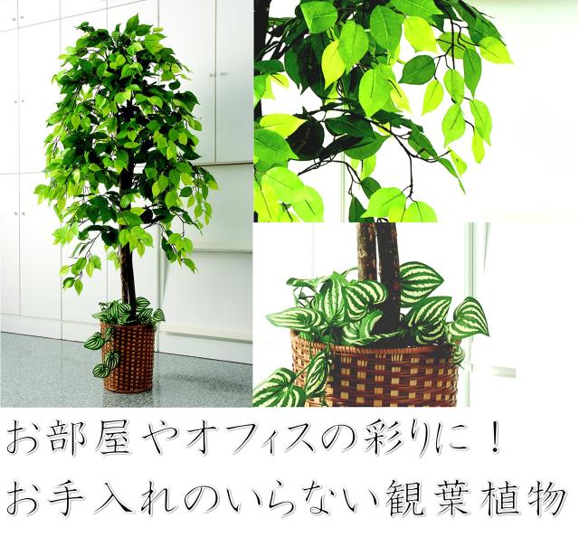 ビータ(Vita) ベンジャミン 人工観葉植物 幅70×高さ160cm フェイクグリーン 大型 竹カゴ付き 鉢付き_2