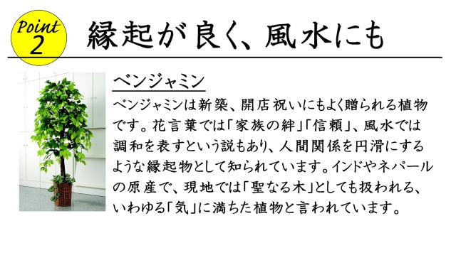 ビータ(Vita) ベンジャミン 人工観葉植物 幅70×高さ160cm フェイクグリーン 大型 竹カゴ付き 鉢付き_4
