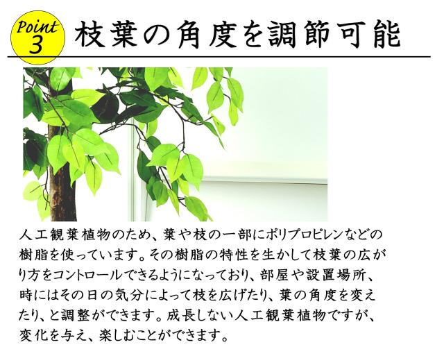 ビータ(Vita) ベンジャミン 人工観葉植物 幅70×高さ160cm フェイクグリーン 大型 竹カゴ付き 鉢付き_5