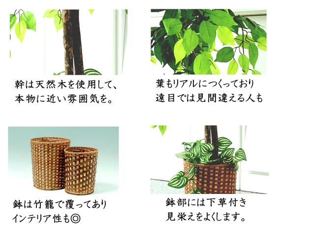 ビータ(Vita) ベンジャミン 人工観葉植物 幅70×高さ160cm フェイクグリーン 大型 竹カゴ付き 鉢付き_6