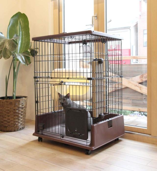 ペティオ (Petio) ネココ 仔猫からのしつけにもぴったりな キャット 