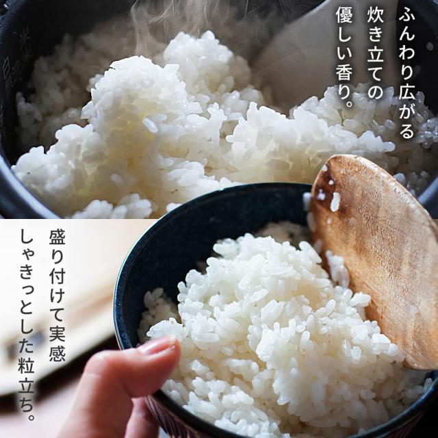 アイリスオーヤマ 【精米】 低温製法米 無洗米 北海道産 ななつぼし 5kg_2