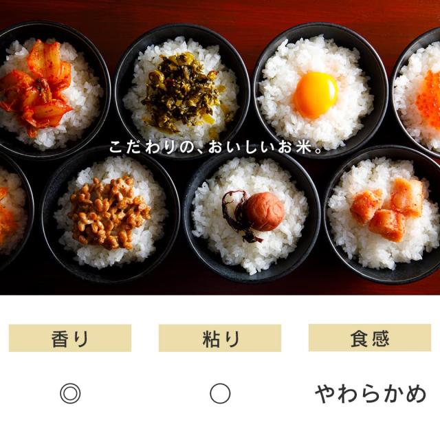 アイリスオーヤマ 【精米】 低温製法米 無洗米 北海道産 ななつぼし 5kg_3