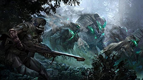 Destiny The Taken King Legendary Edition (輸入版:北米) - PS4_8