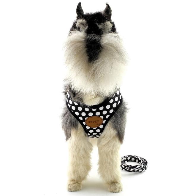 ペット犬 猫 用 ハーネス ドット柄 かわいい 小型犬 超小型犬 ハーネス