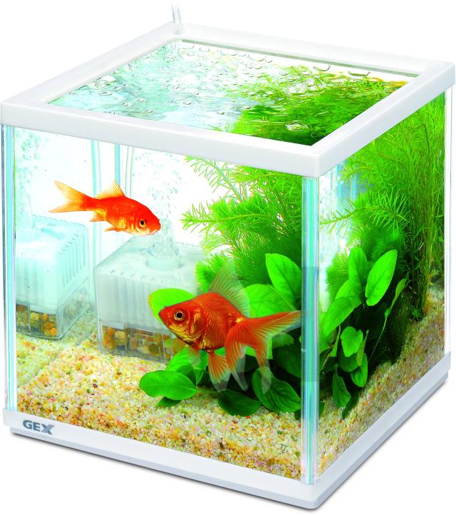 GEX 金魚元気 キューブセット 水槽サイズ:約W20×D20×H20cm 水容量:約6L GEX 金魚元気 キューブセット 水槽サイズ:約W20×D20×H20cm 水容量:約6L