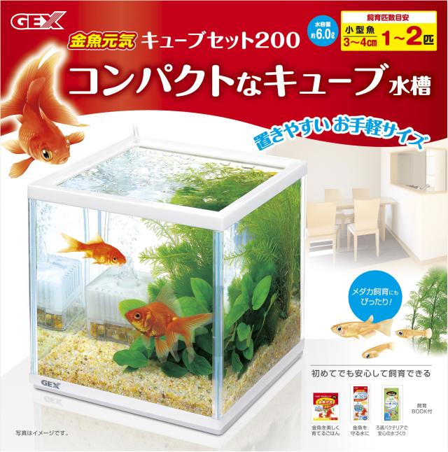 GEX 金魚元気 キューブセット 水槽サイズ:約W20×D20×H20cm 水容量:約6L GEX 金魚元気 キューブセット 水槽サイズ:約W20×D20×H20cm 水容量:約6L