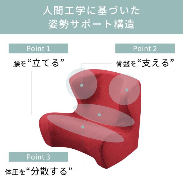 スタイル ドクターチェア(Style Dr.CHAIR) MTG(エムティージー