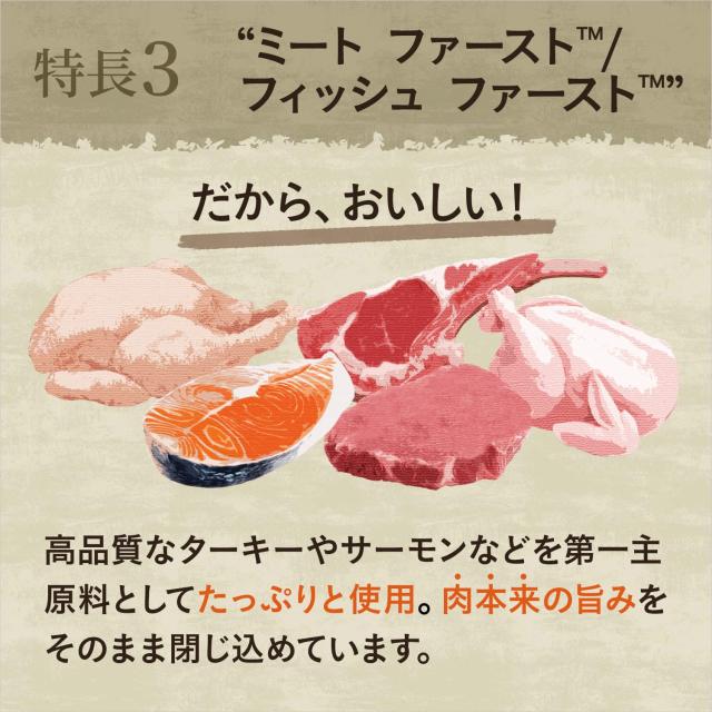 Nutro ニュートロ ワイルド レシピ 超小型犬~小型犬用 成犬用 サーモン 2kg ドッグフード グレインフリー【着色料 無添加/グレインフリー