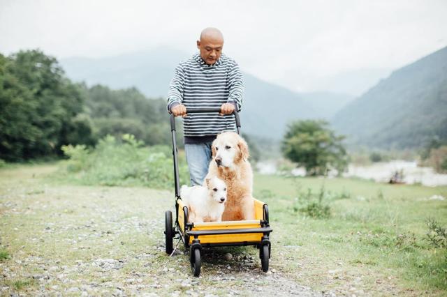AirBuggy for Pet(エアバギーフォーペット) キャリッジセット カモフラージュ_5
