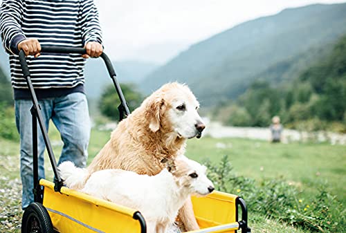 AirBuggy for Pet(エアバギーフォーペット) キャリッジセット カモフラージュ_6