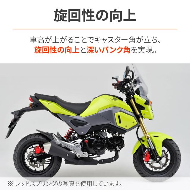 デイトナ リアサスペンション グロム 車高調整機能付き 92483 強化リアショック ブラックボディ/ホワイトスプリング GROM（'13