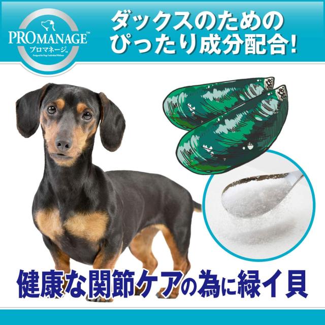 プロマネージ ドッグフード 犬カテゴリー化 成犬用 ミニチュアダックスフンド専用 1.7kg×6 (入れもの売りわたす)
