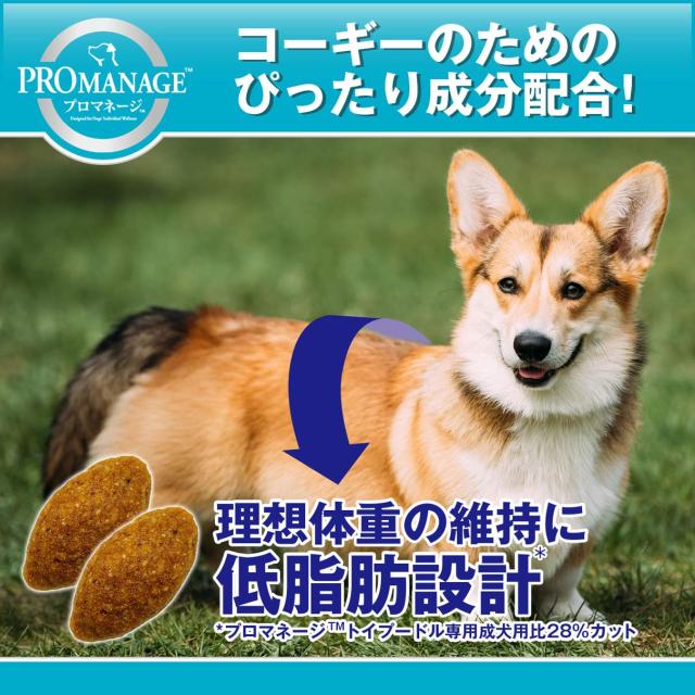 プロマネージ ドッグフード 犬カテゴリー化 成犬用 ウェルシュ・コーギー・ペンブローク専用 1.7kg×6 (入れもの売りわたす)
