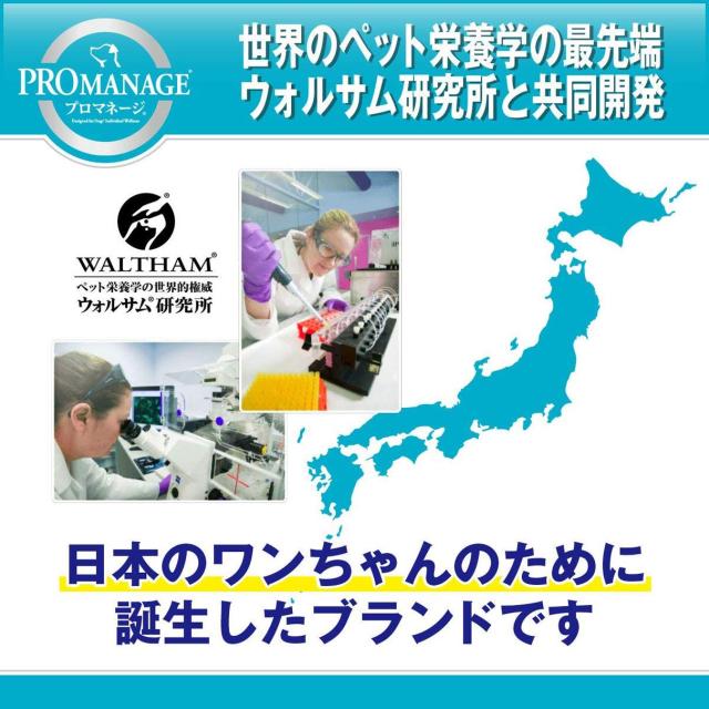 プロマネージ ドッグフード 犬カテゴリー化 成犬用 シーズー専用 1.7kg×6 (入れもの売りわたす)