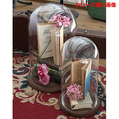 ダルトン(Dulton) ディスプレイ用品 グラスドーム Sサイズ GLASS DOME