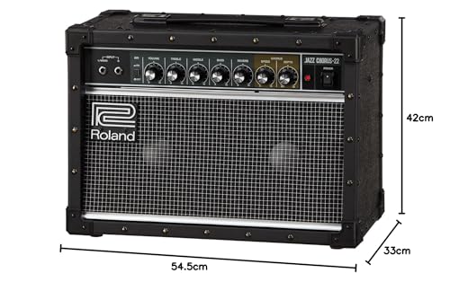 Roland/JC-22 ローランド ギターアンプ ジャズコーラス 30W_4