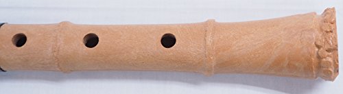 ゼンオン 神永大輔 推奨 入門尺八 オリジナルセット DK-01 レビュー