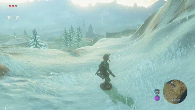 ゼルダの伝説 ブレス オブ ザ ワイルド [Wii U]の通販は