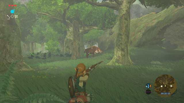 ゼルダの伝説 ブレス オブ ザ ワイルド [Wii U]の通販は
