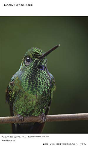 パナソニック(Panasonic) 超望遠ズームレンズ マイクロフォーサーズ用 ルミックス G VARIO 100-300mm/F4.0-5.6 II /POWER O.I.S. H-FSA10