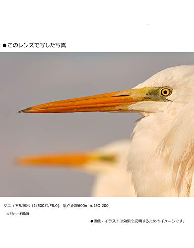 パナソニック(Panasonic) 超望遠ズームレンズ マイクロフォーサーズ用 ルミックス G VARIO 100-300mm/F4.0-5.6 II /POWER O.I.S. H-FSA10