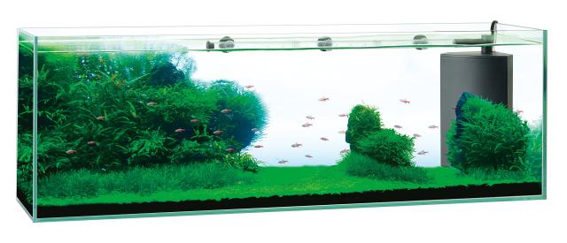ジェックス GEX AQUARIUM グラステリアサイレント900か細い 無声映画流れ嘱する 海洋博物館3年言いはなつ 幅90糎ワイドタイプフレームレス海洋博物館W90×