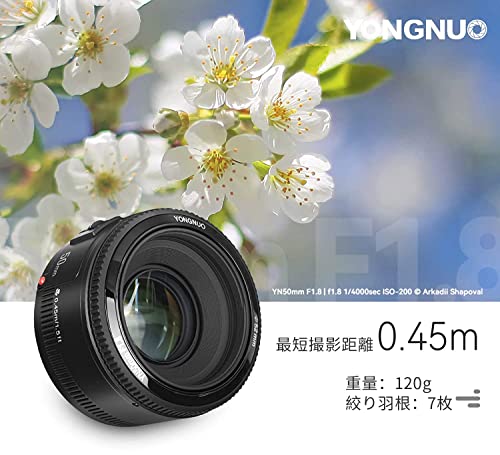 YONGNUO Canon YN50mm F1.8 単焦点レンズ キャノン EFマウント フル