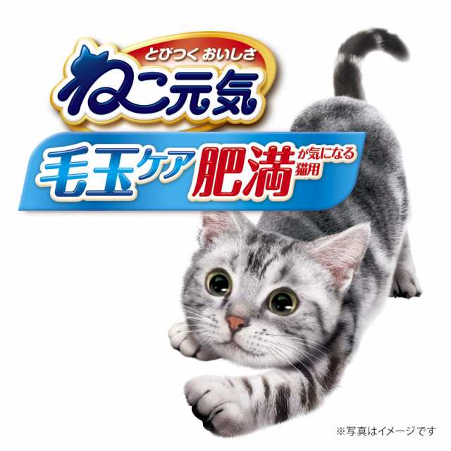 ねこ元気 毛玉ケア 肥満が気になる猫用 まぐろ・チキン・緑黄色野菜入り 1.8kg×6個セットの通販は