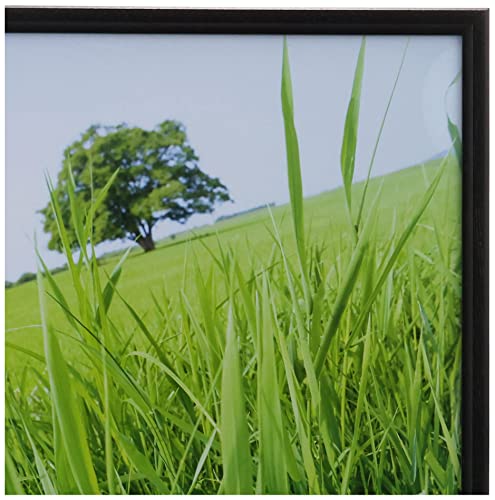 ハクバ HAKUBA 木製額縁 ピクスリア A3サイズ 10枚セット Amazon | ハクバ HAKUBA 木製 額縁 ピクスリア [A3サイズ ブラック 10