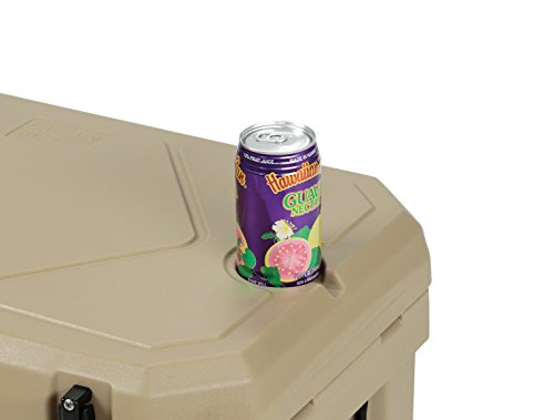 キャプテンスタッグ(CAPTAIN STAG) クーラーボックス 【容量66L/水抜き