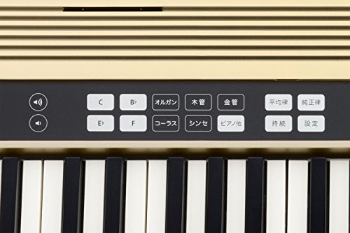 Roland ローランド/JUSTY HK-100 ハーモニー＆リズム練習用キーボード