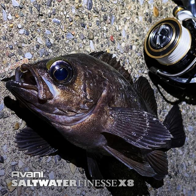 VARIVAS(バリバス) PEライン アバニ ソルトウォーターフィネスPE X8 150m 0.4号 0.4号(9.2lb) クリスタルホワイト