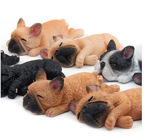 Amazon.co.jp: 冷蔵庫マグネット 柴犬 いぬ 3D 巨大【寝てるワン