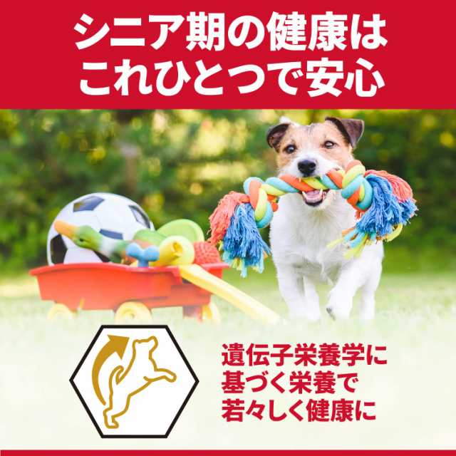 ヒルズ サイエンス・ダイエット〈プロ〉 プロ ドッグフード シニア トータルケア機能 小型犬用 7歳 以上 チキン 3kg 高齢犬 ドライ