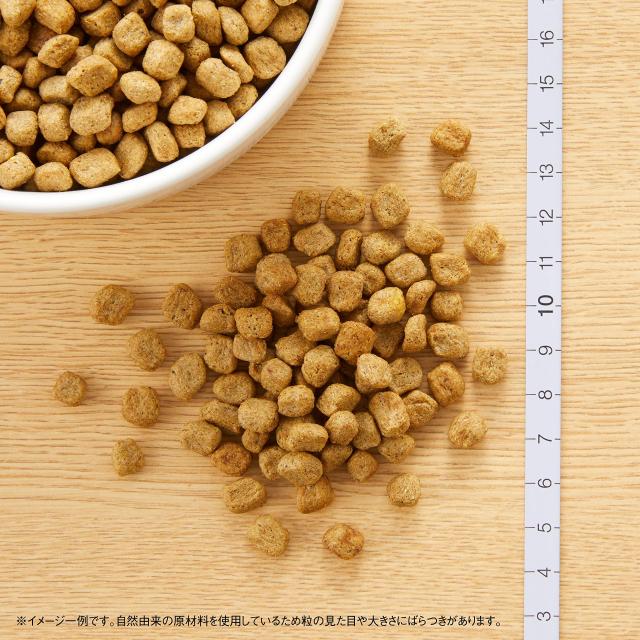 nutro ニュートロ ナチュラル チョイス 減量用 超小型犬~小型犬用 成犬用 チキン＆玄米 6kg ドッグフード_1