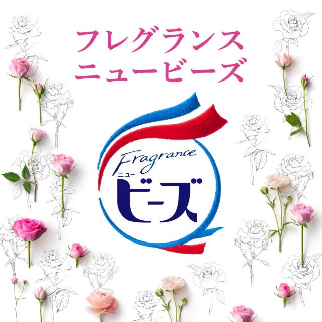 フレグランスニュービーズ 洗濯洗剤 粉末 800gの通販はau PAY