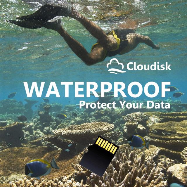 Cloudisk Micro SDカード2 GB(10個セット) フラッシュカード クラス6、SDアダプタ、カードリーダー（2 GB）_1