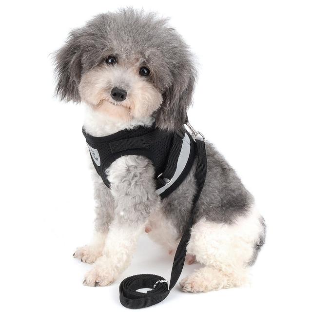 メッシュ 犬用 ハーネス 胴輪 リード セット 超小型犬 小型犬 子犬 猫 散歩 RANPHY メッシュ 犬用 ハーネス 胴輪 反射材料付き リード セット 超